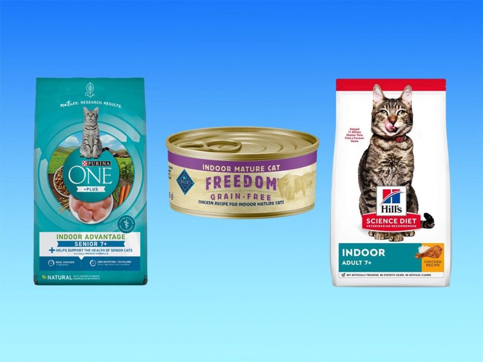 Two bags and a can of senior hairball control cat foods from Purina, Blue Buffalo, and Hill's against a blue gradient background.