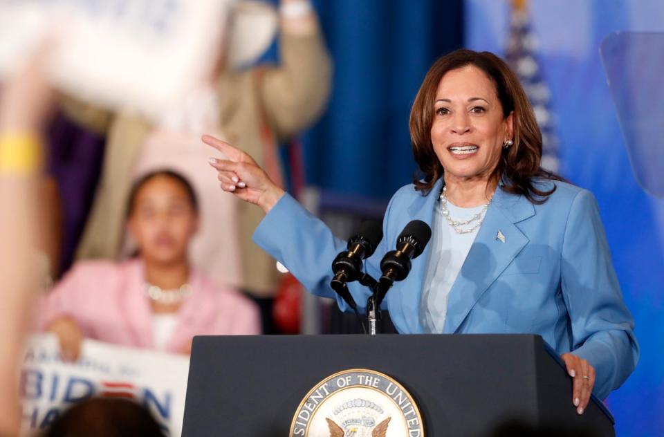 Vice President Kamala Harris (AP)