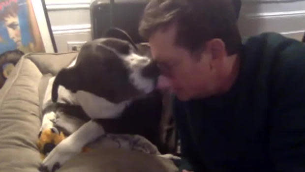 A slobbery kiss from your pal.  / Credit: CBS News