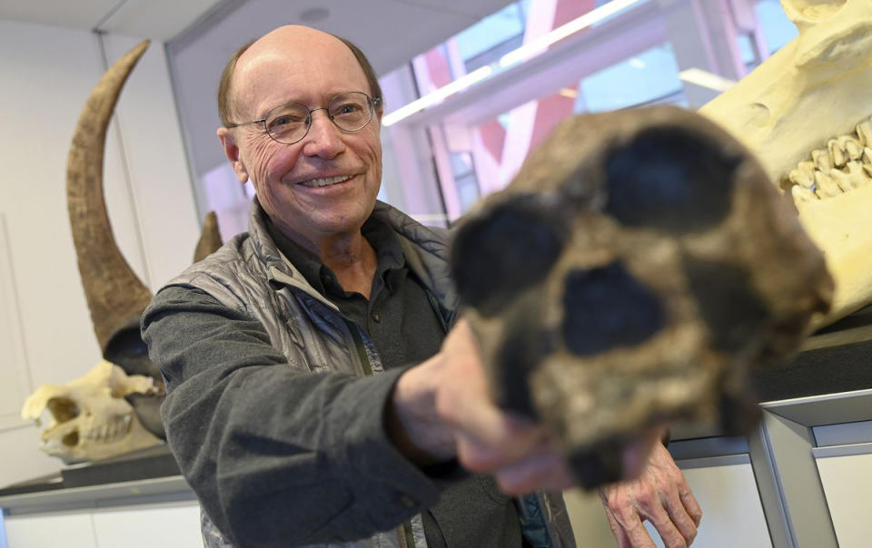 White holds a replica of a  1.7-million-year-old homo erectus skull in the National Research Centre on Human Evolution in Burgos, Spain. (Ricardo Ordóñez / El País)