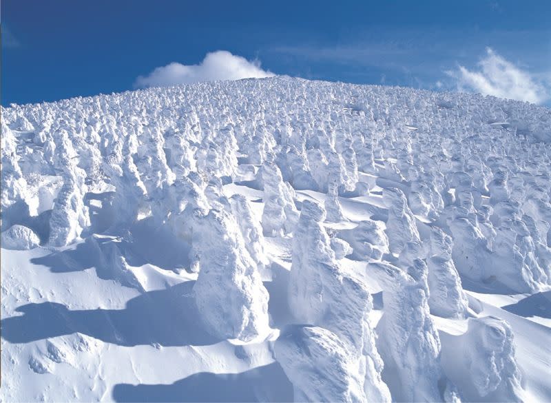 ▲民眾可以選擇搭乘纜車從高空俯瞰藏王樹冰，那一株株被白雪覆蓋的針葉樹群，形成一個天然又奇特的樹冰景觀。（圖／五福旅遊提供）