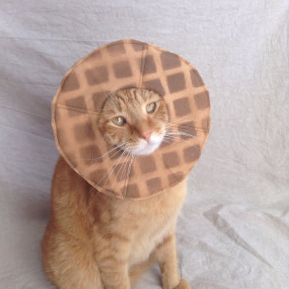 <a href="https://www.etsy.com/listing/484398629/waffle-costume-for-cats" target="_blank">Get it here</a>.&nbsp;