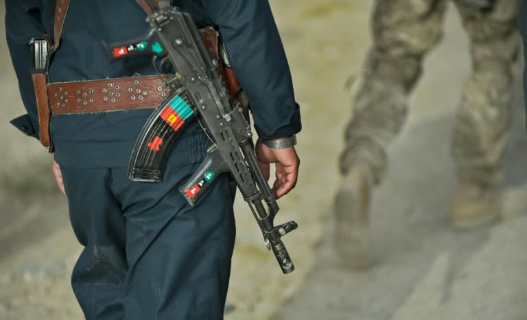 Afghan security forces have been struggling to beat back insurgents since US-led NATO troops ended their combat mission in December 2014