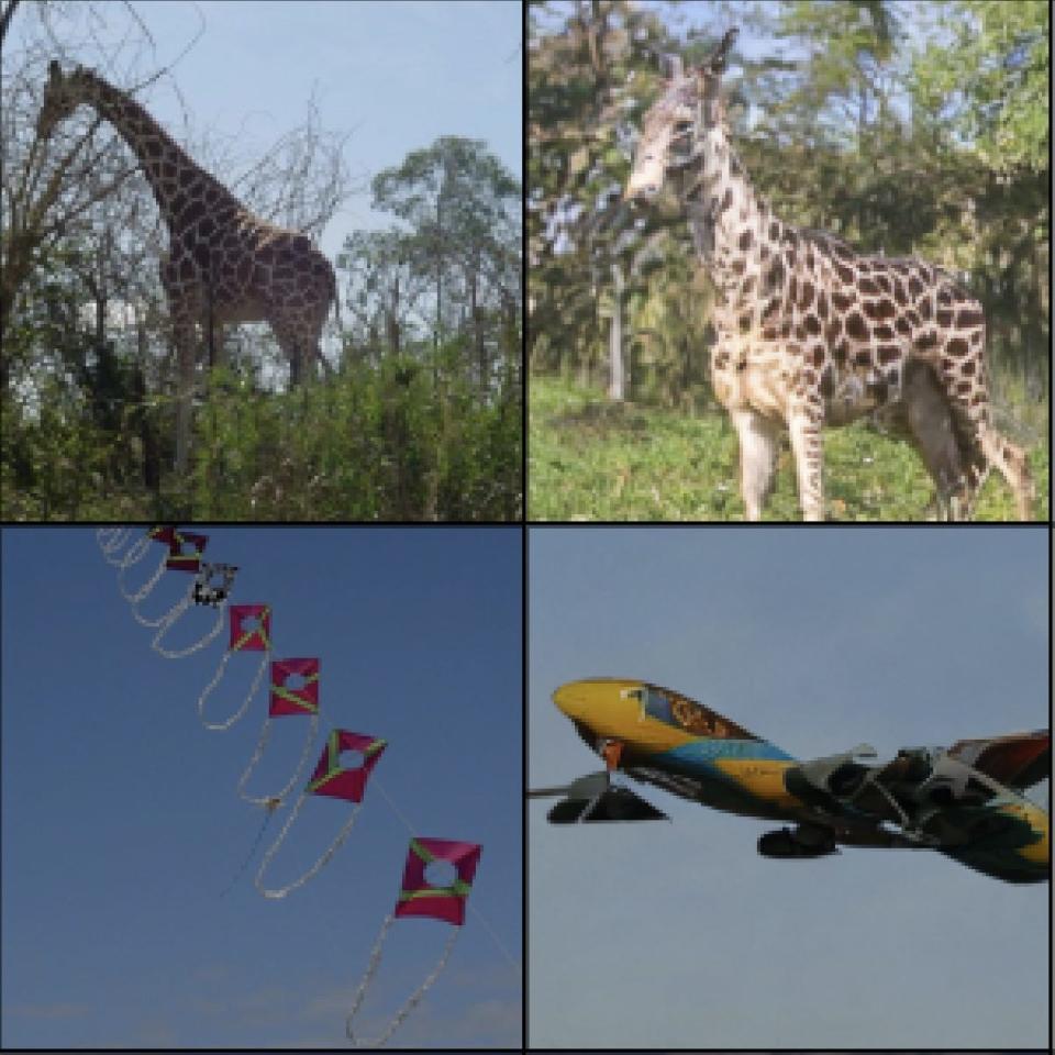 Photo of a giraffe (top left) and photo of a red kites (bottom left), alongside photos generated by AI from human brain waves.