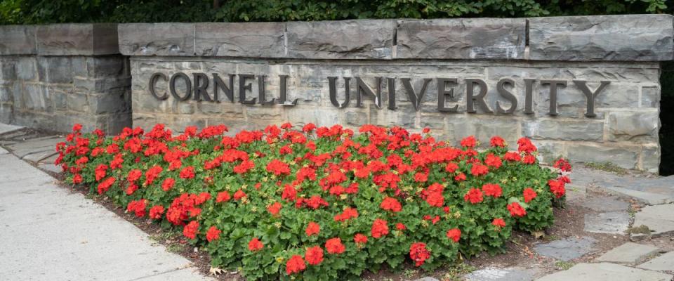 Cornell University sign with red flowers