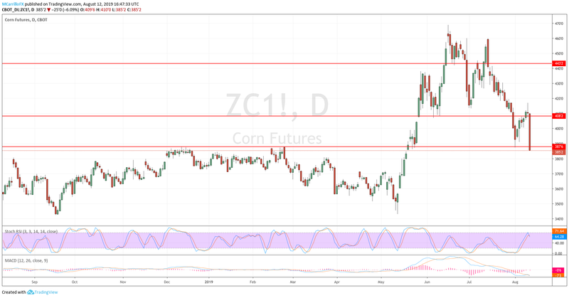 Daily chart Corn Prices August 12