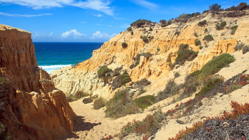 Portugal's Alentejo region boasts miles of uninterrupted beach.  - Janina_PLD/Adobe Stock