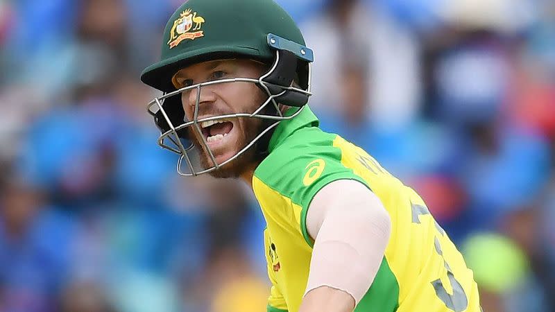 David Warner's slow innings contributed to Australia's downfall against India. 