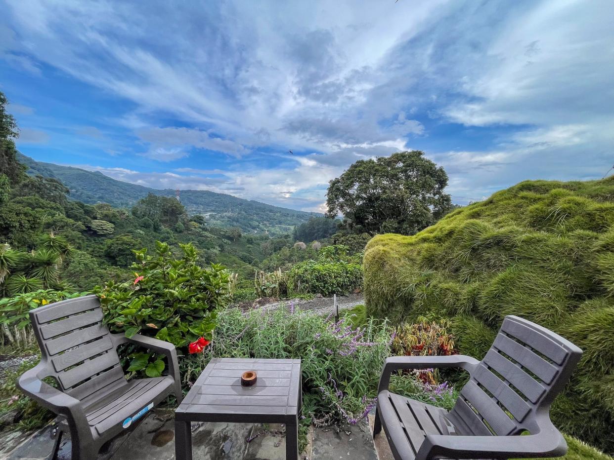 The view from the author's tiny house.