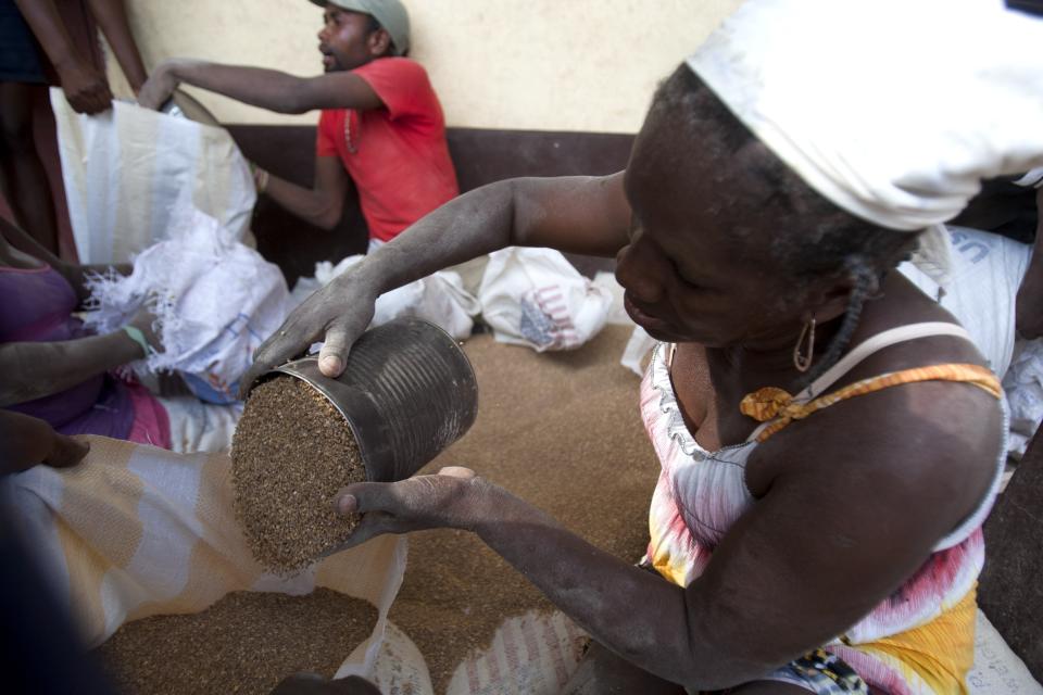 In this Monday, March 24, 2014 photo, an aid worker fills a sack with bulgur wheat during distribution of food by the U.N. World Food Program at a local school in Bombardopolis, northwest Haiti. The agency said it has given food to 164,000 people in the region so far, as well as 6,000 seed kits for farmers. (AP Photo/Dieu Nalio Chery)