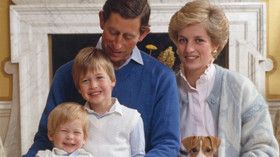 king charles, princess diana, william and harry posing for family photo