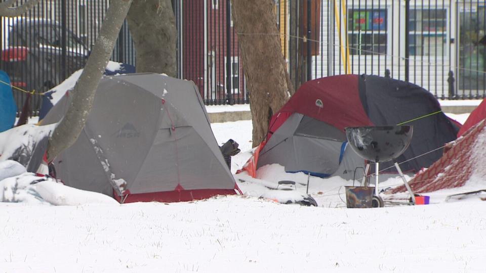 Snowy scenes like this one are becoming more common at the tent encampment near the Colonial Building in St. John's.