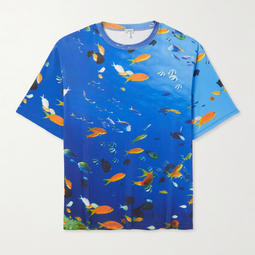 Loewe Logo Embroidered Printed Cotton Jersey T-Shirt in Aquarium print