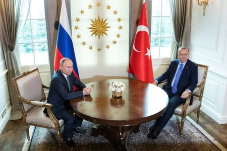 Russian President Putin and Turkish President Erdogan meet in Ankara