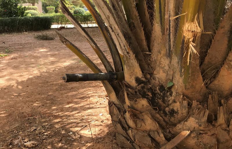 A RPG is stuck in a tree after last week coup attempt in the capital Bissau