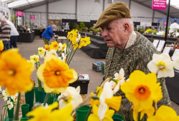 York Press: Floral designers add finishing touches to their stalls for Harrogate Flower Show 2022, which starts tomorrow. The North Yorkshire Flower show starts tomorrow (Thursday 21st April)  and finishes Sunday 24th April, pictured at Harrogate Flower Show, North