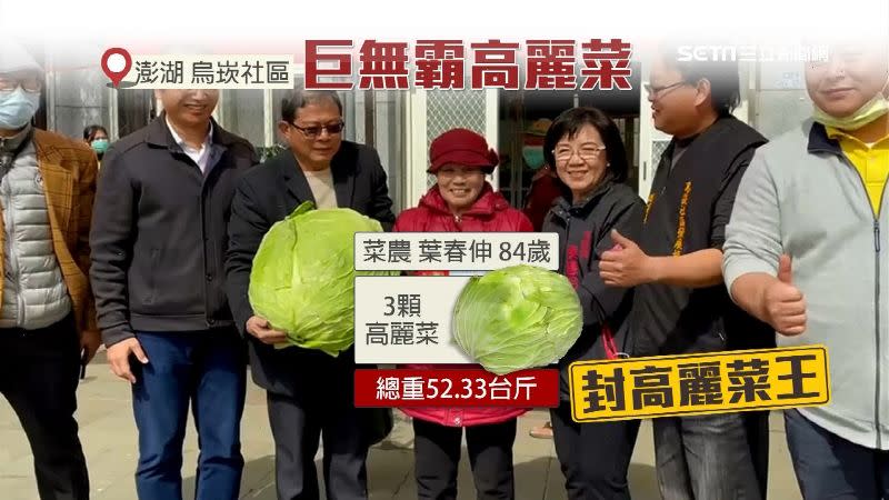 84歲葉春伸阿嬤種的高麗菜，3顆總重達52.33台斤，被封為高麗菜王。