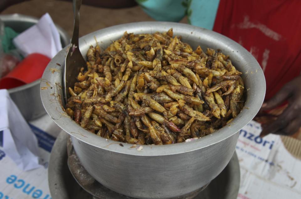Un vendedor prepara saltamontes fritos, el 25 de noviembre de 2016, en Kamwokya, un distrito de la capital de Uganda. Los “nsenene”, como los ugandeses llaman a estos verdes insectos saltarines, son una delicia buscada por muchos en este país en esta época del año, cuando millones de insectos nacen con la temporada de lluvias. (AP Foto/Stephen Wandera)