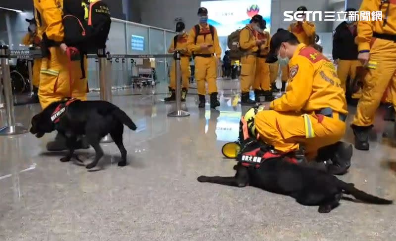 台灣此次共派出130位搜救員和5隻搜救犬到土耳其協助救援。