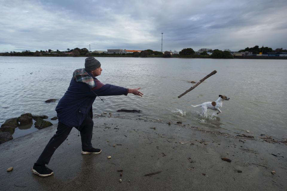 Born and raised in Whanganui, New Zealand, Bruce Butters plays with his dogs Duke and Ali on the banks of the Whanganui River on June 17, 2022. In 2017, New Zealand passed a groundbreaking law granting personhood status to the Whanganui River. The law declares that the river is a living whole, from the mountains to the sea, incorporating all its physical and metaphysical elements. (AP Photo/Brett Phibbs)