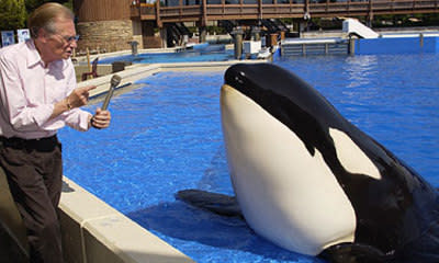 PETA Sues SeaWorld Under US Slavery Law