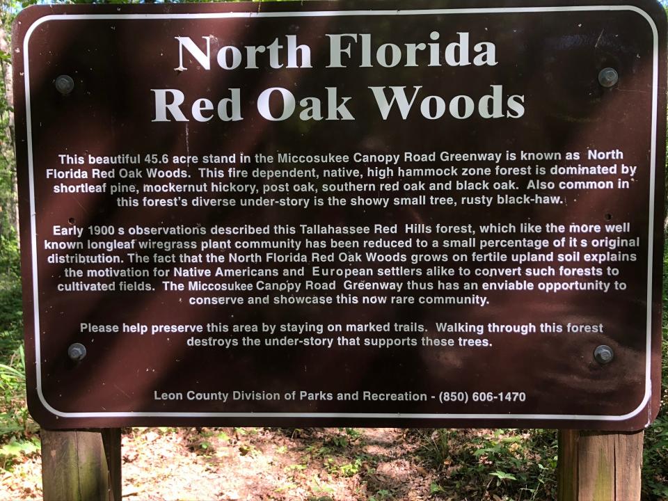 Interpretive sign found along Miccosukee Greenway informs trail users about a rare forest community.