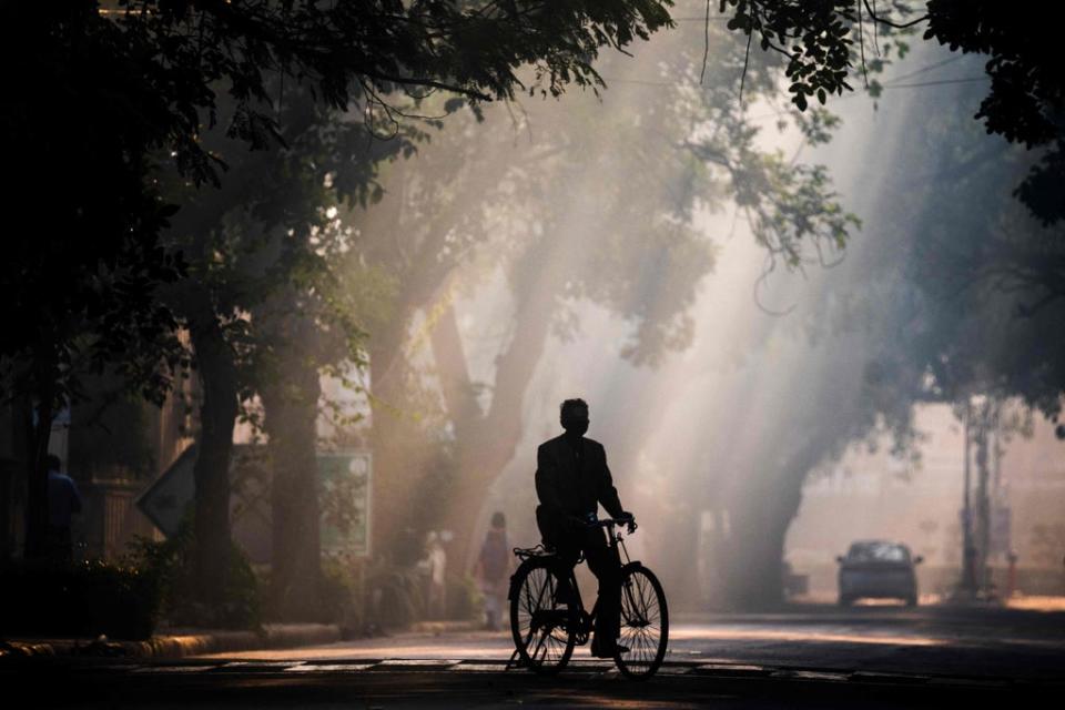 A man rides a bicycle along a street amid smoggy conditions in New Delhi on November 29, 2021 (Getty Images)