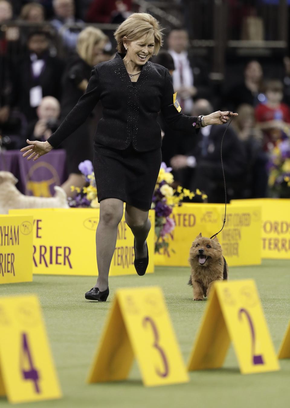 <p>Handler Susan Kipp reacts after Tanner, as Norwich terrier, was announced the winner of the terrier group at the 141st Westminster Kennel Club Dog Show, Tuesday, Feb. 14, 2017, in New York. (AP Photo/Julie Jacobson) </p>