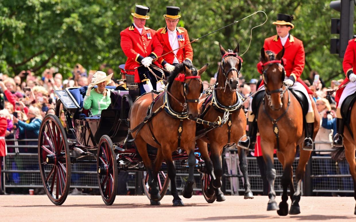 Cleveland Bays are still closely tied to the Royal Family, and are one of just two breeds — along with Windsor Greys — housed at the Royal Mews