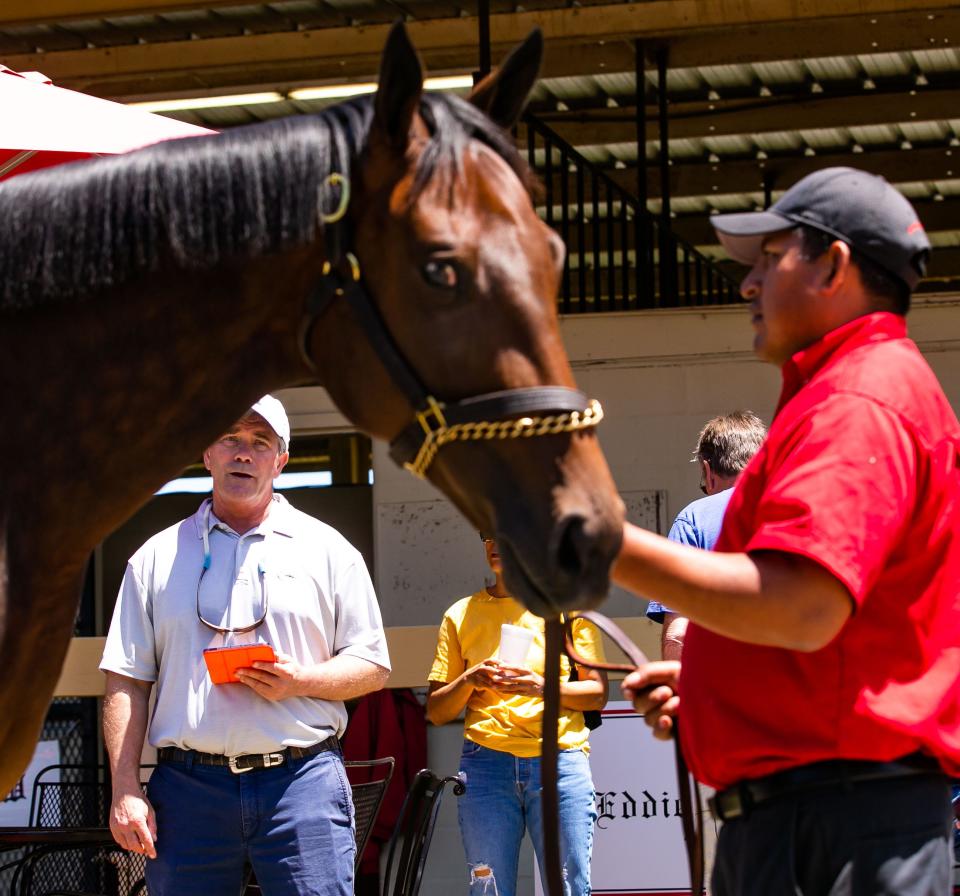Mike Levy of Kentucky checks out Hip #523 last week during the Ocala Breeders' Sales Company's 2022 Spring Sale of Two-Year-Olds in Training.