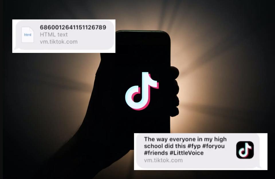 TikTok links usually show up as previews in iMessages, but a glitch made them look like HTML text files.