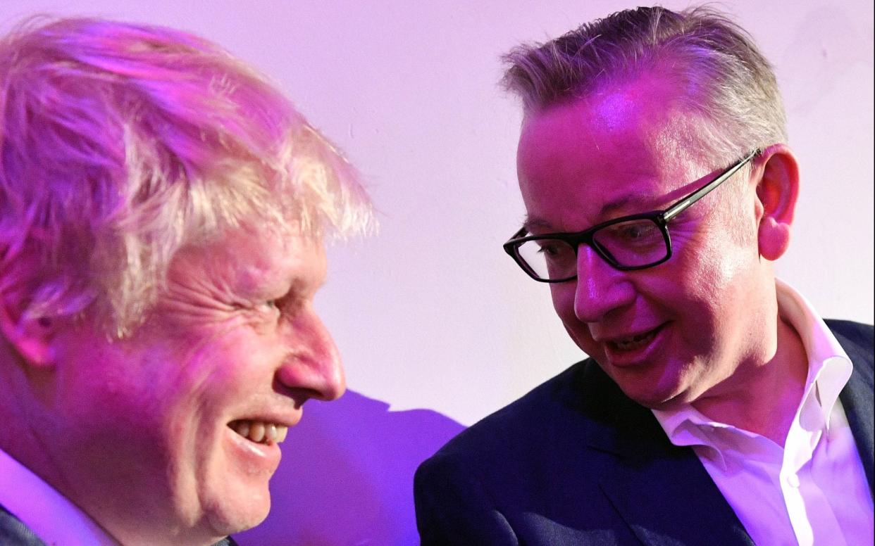 Boris Johnson and Michael Gove ran the Vote Leave campaign together - i-Images Picture Agency