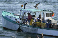 A sternman, right, baits a lobster trap while the captain maneuvers the boat while fishing, Monday, Sept. 21, 2020, off South Portland, Maine. Prices for consumers and wholesalers were low in the early part of the summer, but picked up in August to the point where they were about on par with a typical summer. (AP Photo/Robert F. Bukaty)