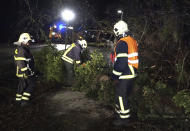 A firefighter disassembles a fallen tree due to a storm in Beelitz, Germany Friday, Dec. 22, 2023. (Cevin Dettlaff/dpa via AP)