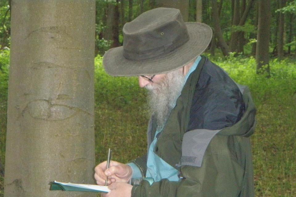 Keith Kirby researching in Wytham Woods <i>(Image: Keith Kirby)</i>