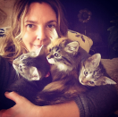 <p>“If you can believe, my daughters and I went to rescue a cat and came home with three kittens in need,” the <em>Santa Clarita Diet</em> star revealed to her followers. “#thekitties #rescue #christmasmiracle or I just became the crazy cat lady? Names are (from left to right) LUCKY (Olive’s cat) PEACH (Frankie’s cat) FERN (mine) all females #GIRLGANG.” The new members of Drew’s clan will have to share the love with their family dog, Douglas, who the actress has said helped her cope with her divorce from ex Will Kopelman. (Photo: <a rel="nofollow noopener" href="https://www.instagram.com/p/BdxwTUWhjkj/?hl=en&taken-by=drewbarrymore" target="_blank" data-ylk="slk:Drew Barrymore via Instagram;elm:context_link;itc:0;sec:content-canvas" class="link ">Drew Barrymore via Instagram</a>) </p>