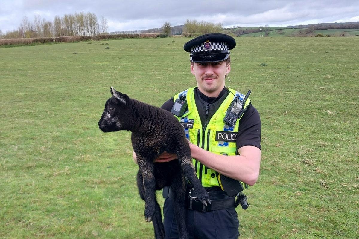 Police were called to a farm in Sturminster Newton last month <i>(Image: Dorset Police)</i>