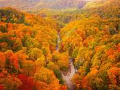 <p>The Towada Hachimantai National Park adopts a yellowish autumn shade in Northern Japan.</p>