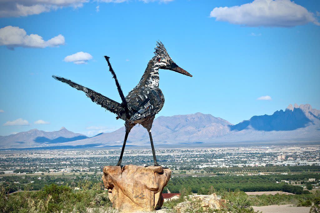 New Mexico: Recycled Roadrunner