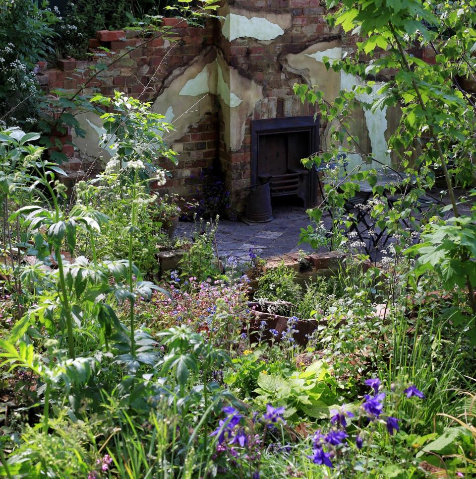 Centrepoint garden, which won a gold medal at the RHS Chelsea Flower Show 2023, included 19 weed species