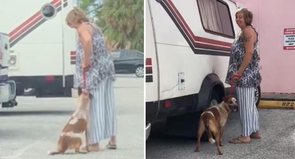 A 26-year-old woman has now been arrested after the video went viral. Pictured are two stills of the suspect – on the left she is pulling the dog's lead and on the right she stands by a campervan.