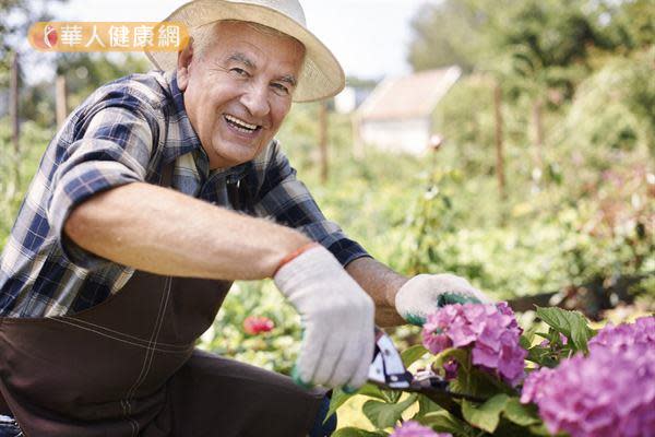 修剪花草、澆水、施肥、鋤地等園藝工作可以消耗213大卡，相當於在平地騎腳踏車45分鐘。