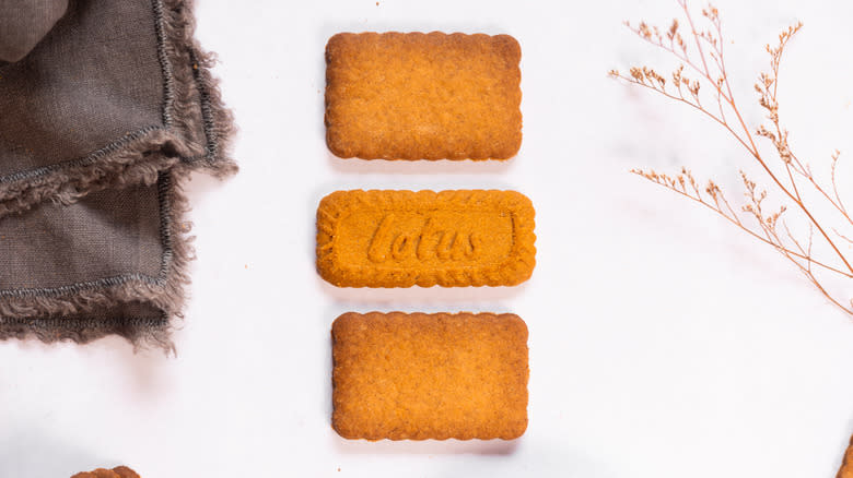 two homemade cookies with a Lotus Biscoff cookie 