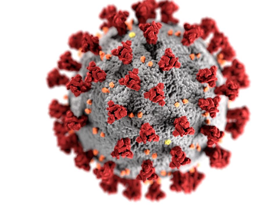 coronavirus molecules