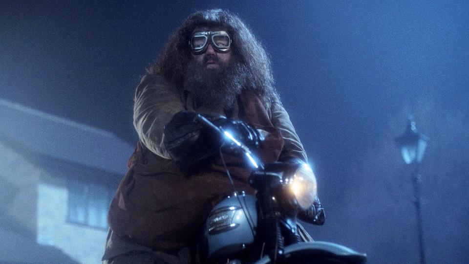 Harry Potter, Hagrid