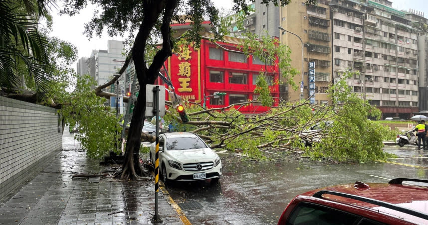 台北市大同區西寧北路、長安西路口一棵大樹傾倒。（圖／北市消防局提供）