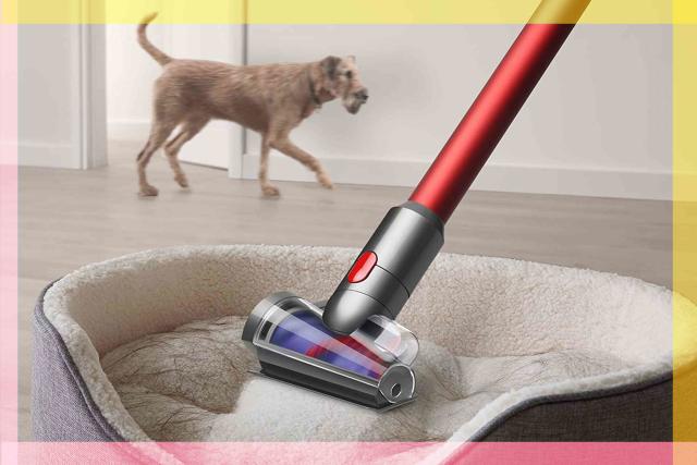 This popular Dyson vacuum is great for pet owners—and it's on sale