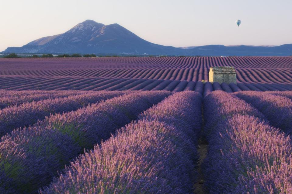 Uncover the secrets of Provence