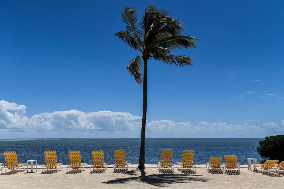 Empty lounge chairs line a deserted beach at a resort in Windley Key on 22 March.