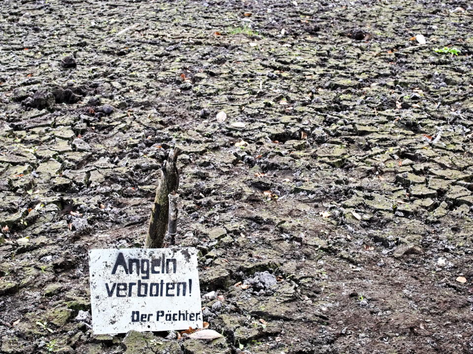 Deutschland wird abermals von einer Dürre im Spätsommer getroffen. (Bild: Getty Images)